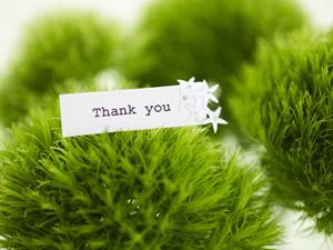 ライジンコラボグッズを販売サイト